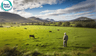 Farm Relief
