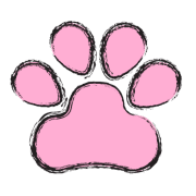 Dreamdogz dog groomer in Wexford logo