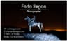 Enda Regan Photography