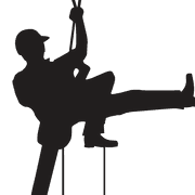P.Corcoran Tree Surgeon/Arborist logo
