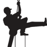 P.Corcoran Tree Surgeon/Arborist