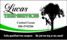 Lucas Tree Services Leinster