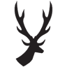 StagParty