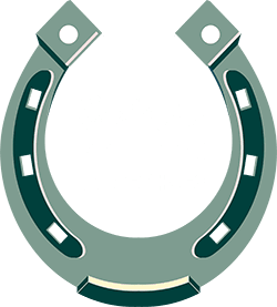 Biddy’s Good Luck Horse Shoes logo