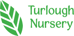 Turlough Nursery logo