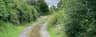 Pheasant Lane