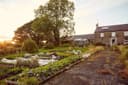 Laurelbank Farm