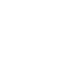 Sandyford House logo