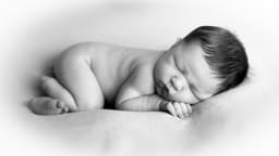 Brumilda Franken Photography logo