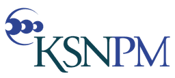 KSN Project Management Cork logo