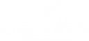 Chisel & Plane