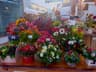The Secret Garden Flower Shop