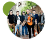 Harlequin Wedding Band Ireland