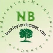 Noel Buckley logo