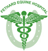 Fethard equine hospital