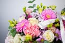 Everblume Flowers