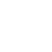 Anything Access logo