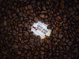 coffeebeanshouse logo