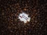 coffeebeanshouse