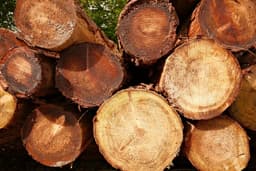 Connacht Tree Surgeons logo