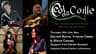 Ceol na Coille - School of Irish Traditional Music