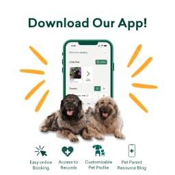 VetSit Doggy Daycare, Dog Grooming and Boarding logo