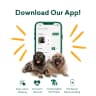 VetSit Doggy Daycare, Dog Grooming and Boarding