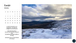 Wicklow Mountains National Park logo