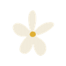Crazy Daisy Florist