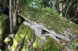 Meehambee Dolmen logo