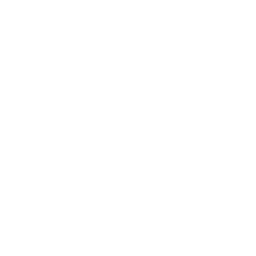 Mr Gearbox Mr Clutch logo