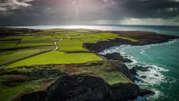 Failte Ireland logo