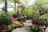 Doyle's Nursery & Garden Centre