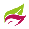 Ashleaf Store