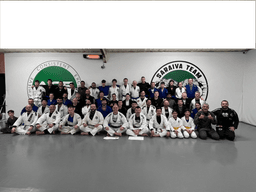 Ace Martial Arts / Carlson Gracie Ireland logo