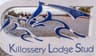 Killossery Lodge Stud