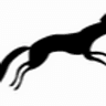 Fox Lodge Manor Montessori & Playschool