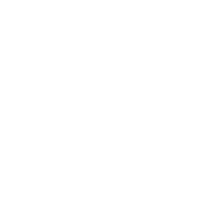 Timber Homz logo