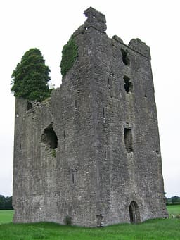 Tinnakill Castle logo