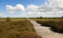 Corlea Trackway Visitor Centre