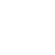 Romas logo