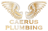 Caerus Plumbing