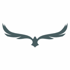 The Grace logo
