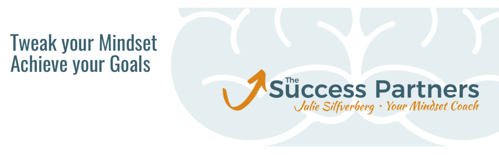 Success Partners cover