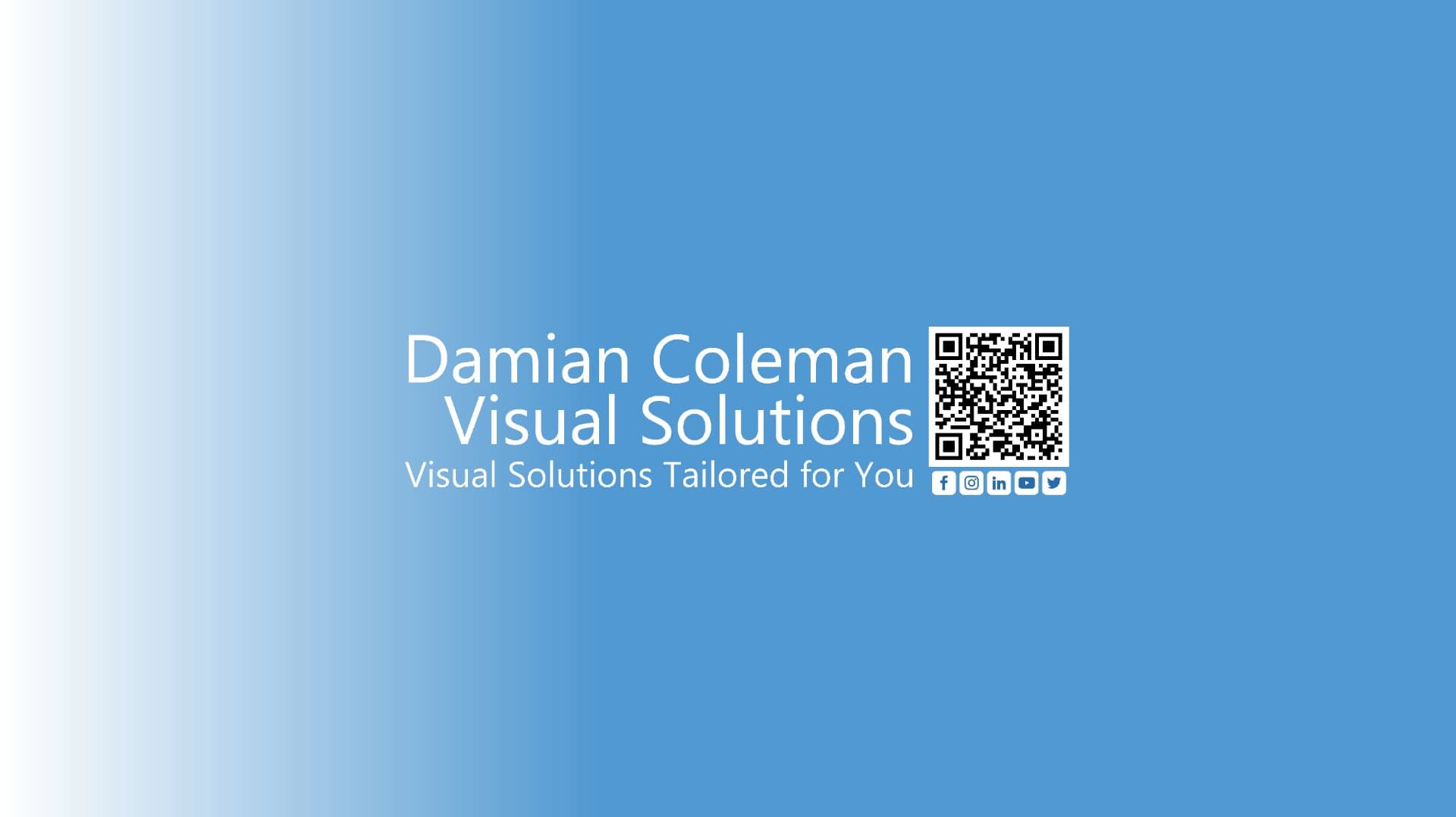 Damian Coleman Visual Solutions cover