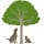 Woodview Veterinary Clinic, Boarding and Grooming, Lixnaw logo