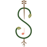 Strings & Roots
