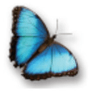 Almir Business Ltd logo