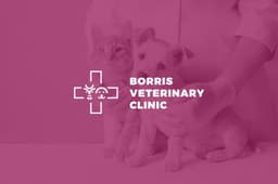 Borrisoleigh Veterinary Clinic logo