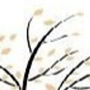 Condons Funeral Directors Ltd logo